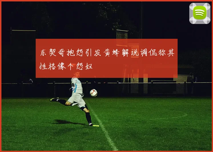 东契奇抱怨引发黄蜂解说调侃称其性格像个怨妇